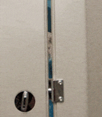 200w.gif
