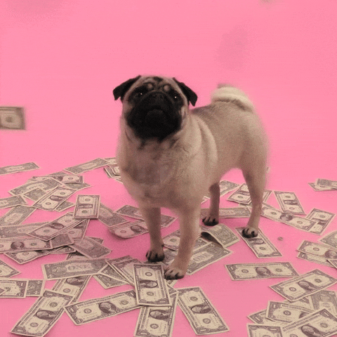 Make It Rain Reaction GIF by Thalia de Jong