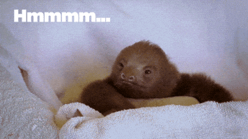 fascinating thinking GIF