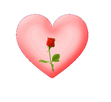 ����� ���� ������� ����� ���� giphy.gif?cid=ecf05e