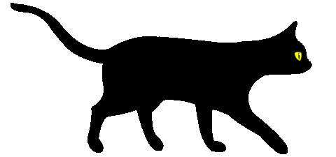 animated black cat gif