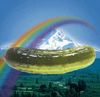 Rainbow Pickle GIF by Shaking Food GIFs