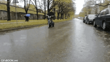 Trick Drifting GIF by Electric Cyclery