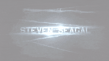 Steven Seagal GIF by Tubi TV