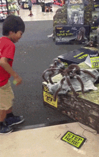 Scare-prank GIFs - Get the best GIF on GIPHY Scare-prank GIFs - Get the best GIF on GIPHY