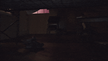 ellismonk5  GIF