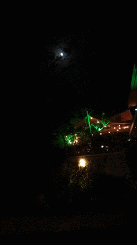 degphilip afytosnight GIF