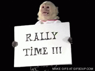 Rally-monkey GIFs - Get the best GIF on GIPHY