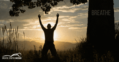 breathestretch #sunset #stretch #breathe #movement GIF