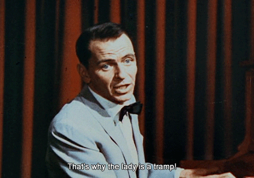Sinatra GIFs - Get the best GIF on GIPHY