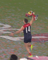 Melbourne Football Club Win GIF by Melbournefc