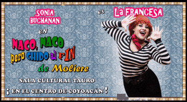 mickeyuniversearteaga cdmx coyoacan naco GIF