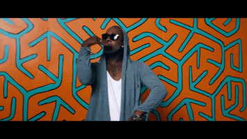 maddieleal  GIF
