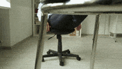 100.gif?cid=20e14a2aaxep5pd6zu3wyimhb2auepho3b2sgc4d63a3ivwj&rid=100.gif