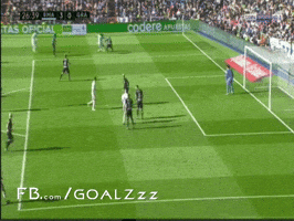 Ashevoo  GIF