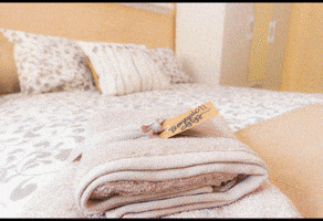 enfocasa  GIF