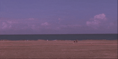 200.gif