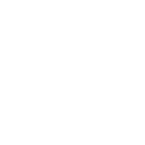 FEF Universitarios Puebla Sticker