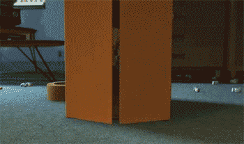 Howdy GIF
