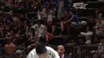 GIF by flograppling