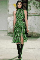 200.gif?cid=fc005b08f451ce60baa8ede3c35546b935a87096d4d89011&rid=200.gif&ct=g
