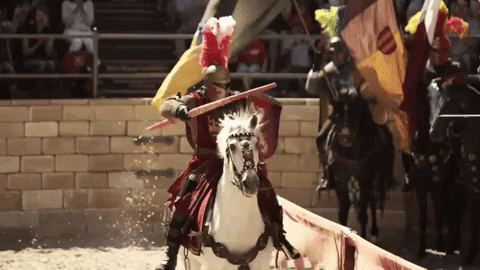 Europa-Park show knight theme park attraction GIF