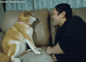 Reject Kiss GIFs - Get the best GIF on GIPHY