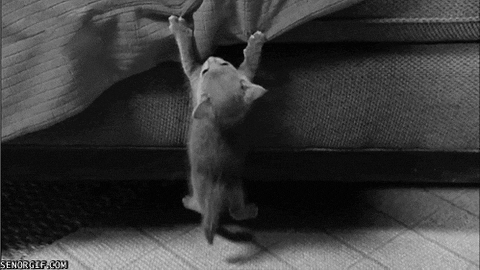 Hanging On Black And White GIF - Find & Share on GIPHY