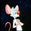 excited pinky and the brain GIF