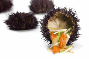 gastrogif  GIF