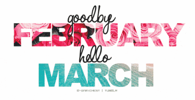 Happy March 1St GIF