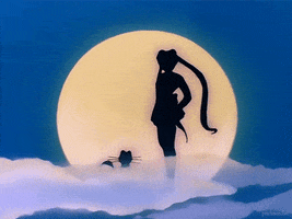 sailor moon silhouette GIF