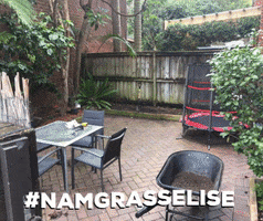 Quality Artificial Grass GIF