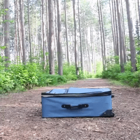 Video gif. A suitcase sits in the middle of a forest trail. A fluffy black and white border collie climbs inside, lays down and lets the lid softly land on his head. 