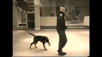 ghenoxu  GIF