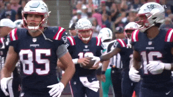 Back And Forth Nfl GIF by New England Patriots