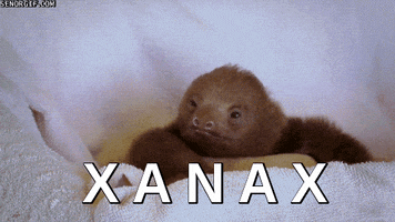 sloth xanax GIF