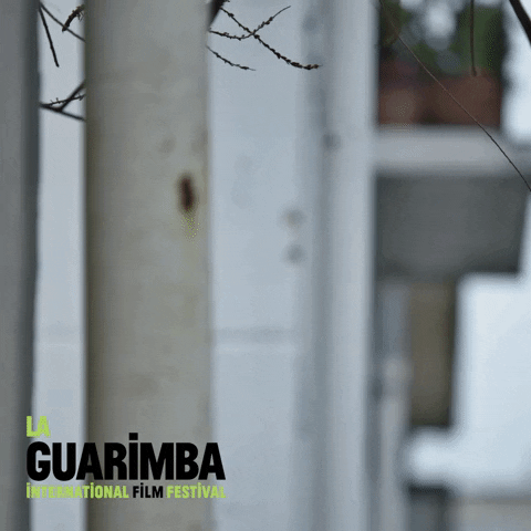 Creeping Big Brother GIF by La Guarimba Film Festival