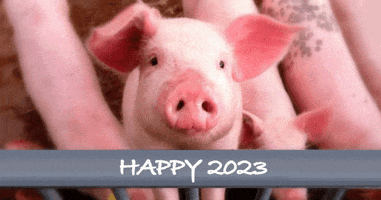 Happy New Year Pig GIF