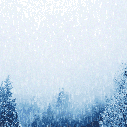 GIF by Generator