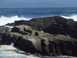 Ocean GIF