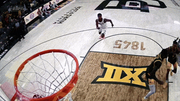 Baylor GIF