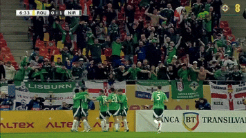 Celebration Team GIF by Northern Ireland