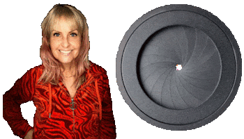 Joanna Lee Coaching Sticker