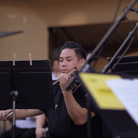GIF by sgvsymphony