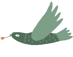 Bird Spring Sticker by Сойкин след