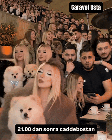Garavel Usta GIF