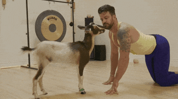 Kisses Goat GIF by 1st Look