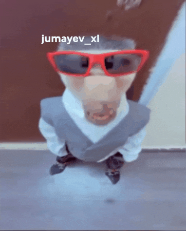 Monkey Wow GIF