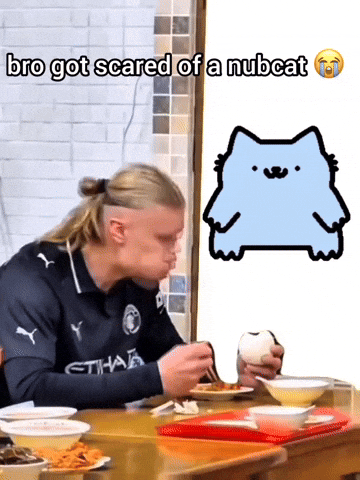 Cat Nub GIF